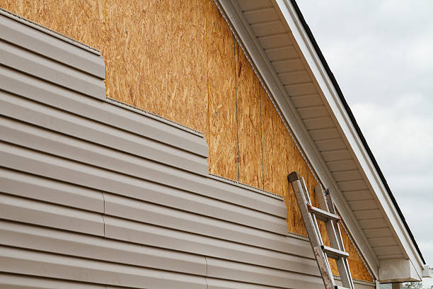 Professional Siding Repair technician working in Trenton, SC